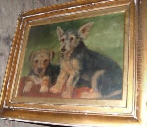 Study Of Twoterriers