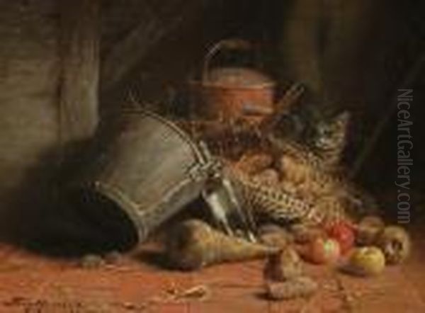 A Cat Hiding In A Barn - view 1