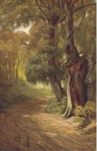 Bunnies On A Woodland Track