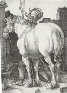 The Large Horse 2 by Albrecht Durer