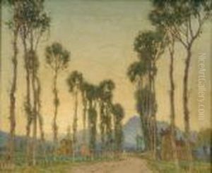 Avenue Of Poplartrees