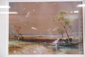 Bark Hut On The Plain