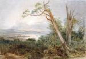 An Australian Coastal Landscape