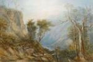 Martens, Australian, - An Upland
 River Gorge,huntsman Seated On A Fallen Tree In The Foreground, 
Watercolourheightened With White, Signed And Dated 1874 Bottom Left, 
44cm By64cm