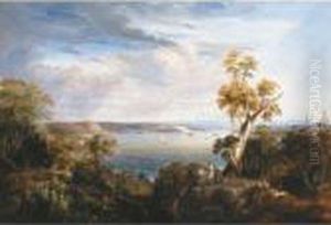 Sydney Harbour From Vaucluse Sydney Harbour From Vaucluse