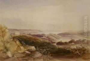 View From Craigend, Darlinghurst by Conrad Martens
