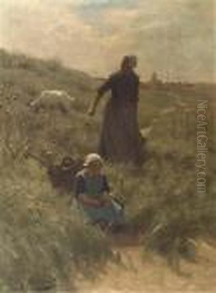 A Sunny Day In The Dunes - view 1