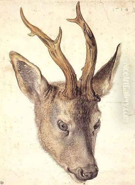 Head of a Stag 2 - view 1