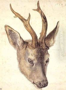Head of a Stag 2 by Albrecht Durer