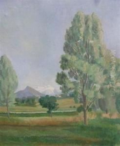 Vue Du Mont-blanc Dans La Campagne Genevoise by Eugene Louis Martin