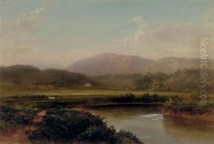 In The Adirondacks