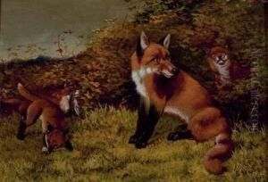 Mother Hound With Her Puppies; And Mother Fox With Her Young