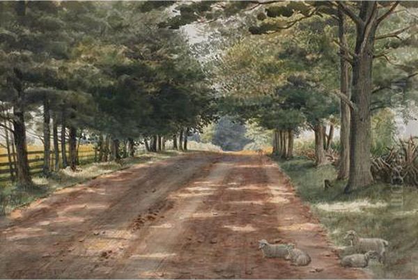 Sunlit Roadway - view 1
