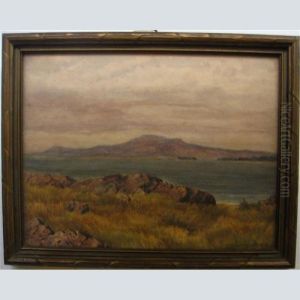 View From San Juan Island To Oak Bay, Victoria, B.c.