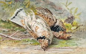 Untitled - A Brace Ofgrouse Untitled - A Brace Ofgrouse