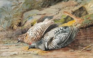 A Brace Of Partridge A Brace Of Partridge