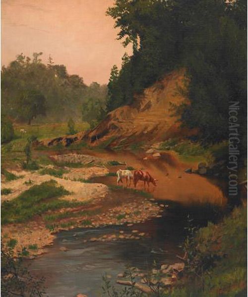 Cattle Watering At A Stream - view 1
