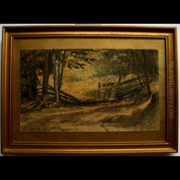 The Old Rail Fence - view 1