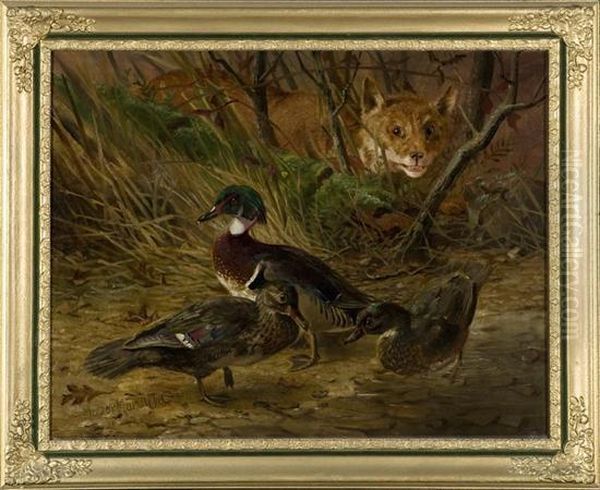 Two Ducks With Lurking Fox. - view 1