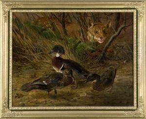 Two Ducks With Lurking Fox. by Thomas Mower Martin