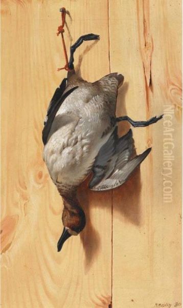 Widgeon - view 1