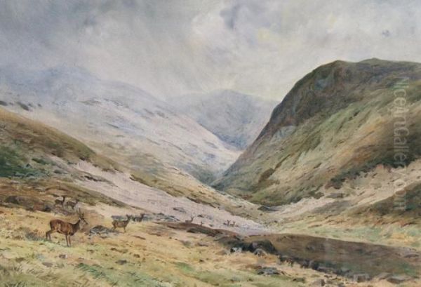 A Quiet Corner - view 1