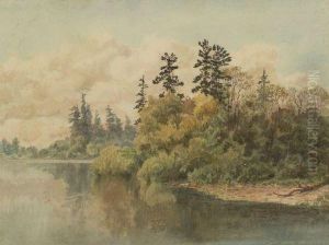 Lake View Lake View