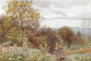 A Copse On The Slope Of Blackdown, Dorsetshire A Copse On The Slope Of Blackdown, Dorsetshire