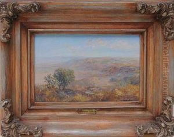Paisaje - view 1