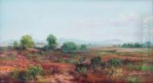 Paisaje by Isidro Martinez Colin