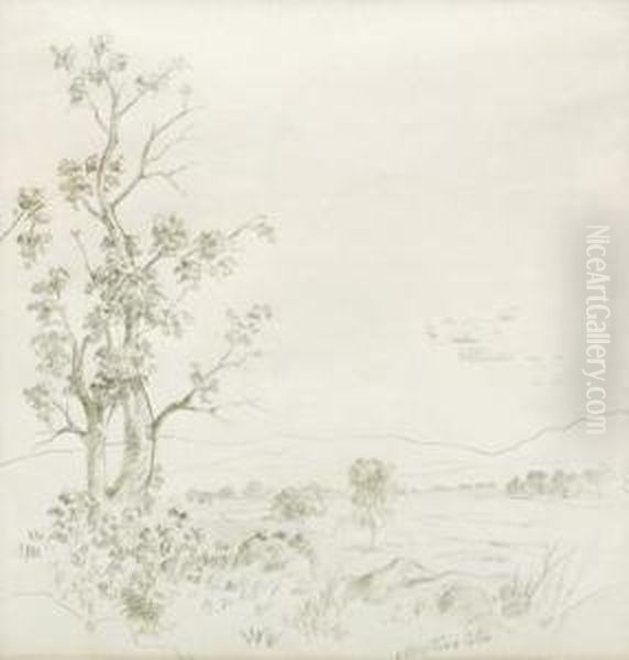 Arbol - view 1