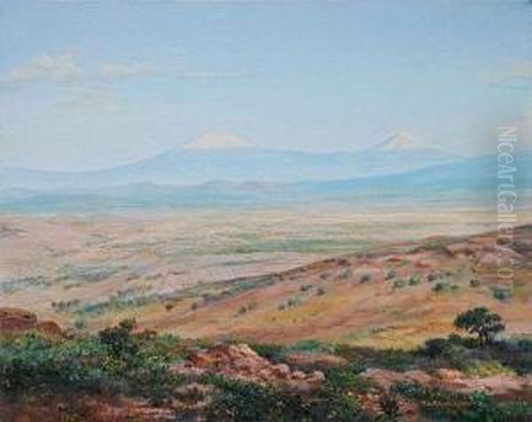 Paisaje De Volcanes - view 1