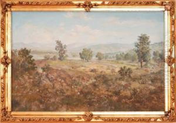 Paisaje - view 1