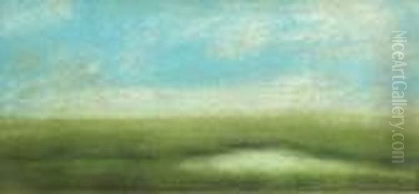 Summer Meadow - view 1