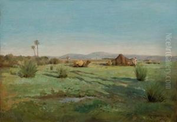 Campement De Nomades Dans La Plaine De Mitidja, Pres D'alger - view 1