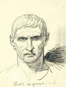 The head of a bearded man after a Roman bust