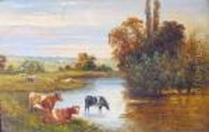 Cattle Watering by Christopher Mark Maskell