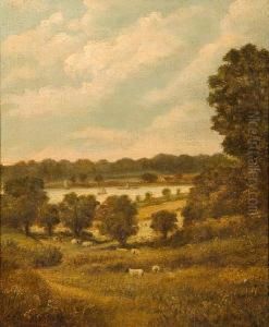 Downham Reach On The Orwell by Christopher Mark Maskell