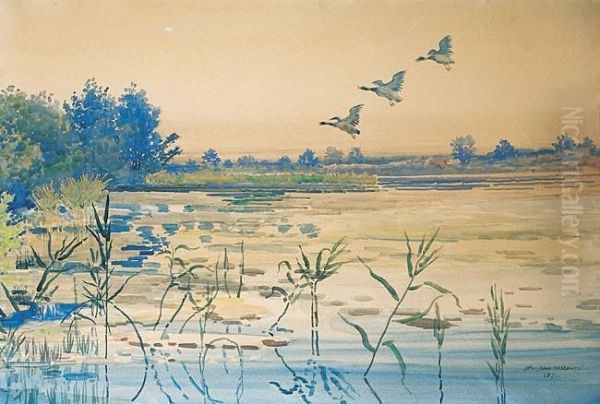 Szuwary, 1921 R. - view 1