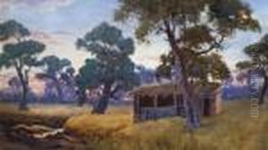 The Old Shed