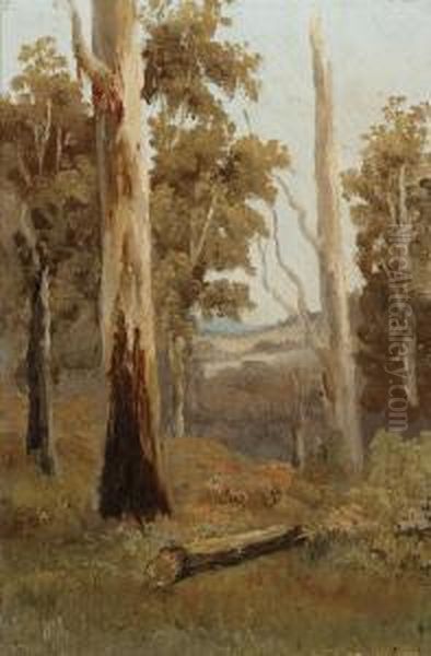 Landscape - view 1