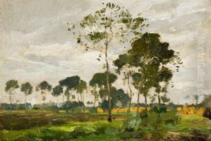 Paysage