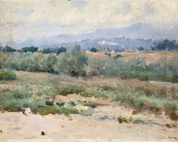 Paisaje - view 1