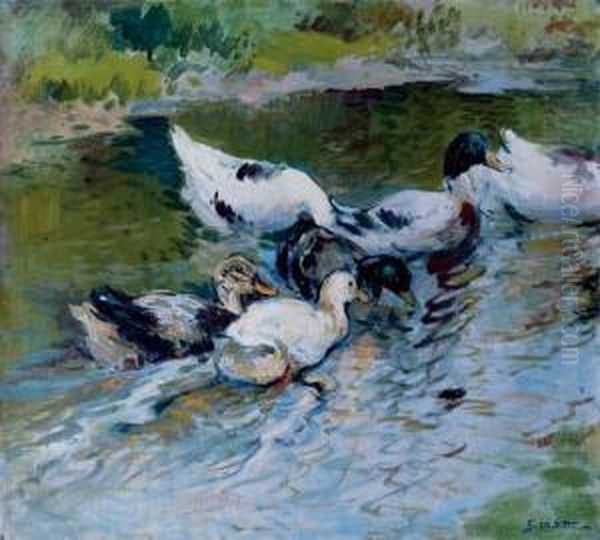 Patos En Un Estanque (ducks On A Pond) - view 1