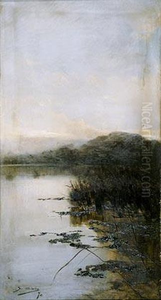 Laguna. - view 1