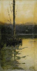 Laguna Y Arbol.