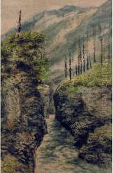 Mountain Crevice - view 1
