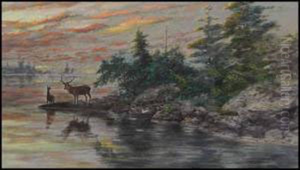 Deer At A Lakeshore - view 1