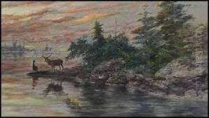 Deer At A Lakeshore