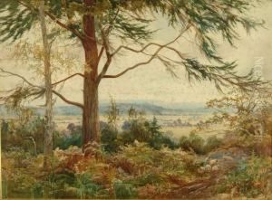 Sheep Resting On A Path In An Extensive Wooded Landscape by William Matthison